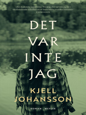 cover image of Det var inte jag